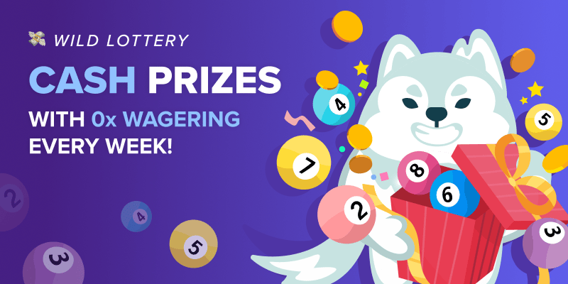 Banner slide for /promotions/wild-lottery